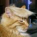 Profile Picture of Robert Routt (@robert.routt.31) on Facebook