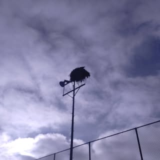 Profile Picture of Jason Payne (@payne_jason) on Instagram