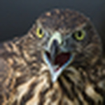 Profile Picture of Lee Crabtree (@lee crabtree photography) on Flickr
