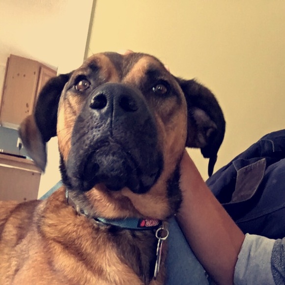 Profile Picture of Andrew Jacobo (@aj8445) on Poshmark