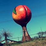 Profile Picture of Stephen Ridley (@stephen_ridley93) on Instagram