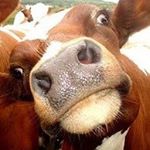 Profile Picture of Martin Colgan (@martincolgan) on Instagram