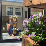 Profile Picture of Stefanie Barrella (@growthringss) on Instagram