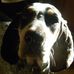 Profile Picture of Jerry Loudermilk (@Jerry-Loudermilk) on Facebook