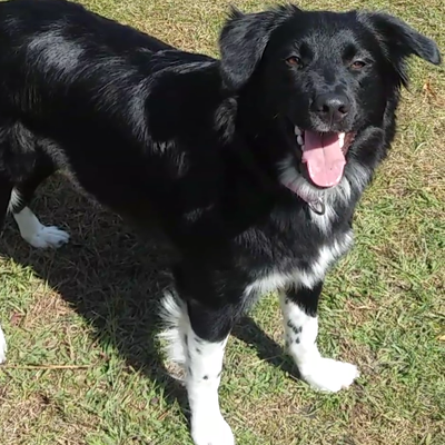 Profile Picture of Kevin Martinek (@MartinekKevin) on Twitter