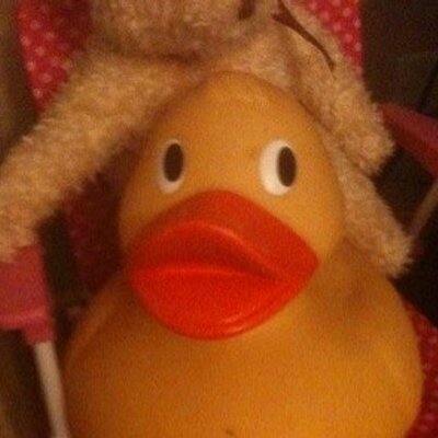 Profile Picture of Des James Fiddes (@freedom1809) on Twitter