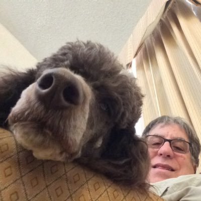 Profile Picture of Paul Leo (@pgleo) on Twitter