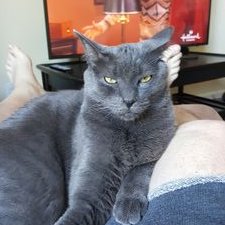 Profile Picture of Robert Woosley (@Bquad993) on Twitter