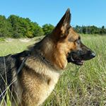 Profile Picture of Bennett Spencer (@bennett_abraham) on Instagram