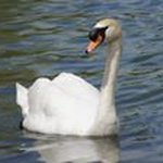 Heidy Wagner - Instagram Profile Picture of Heidy Wagner (@heidywagner) on Instagram