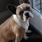 Profile Picture of Crystal Stiles (@stiles4506) on Instagram