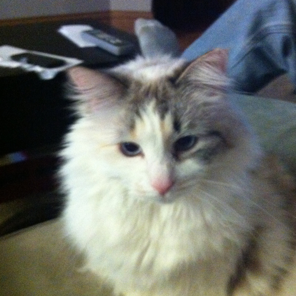 Profile Picture of Samantha Bernens (@berne040) on Poshmark