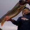 Profile Picture of Paul Sauer (@@goinfishin) on Tiktok