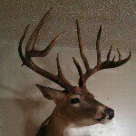 Ronnie Nutt - Instagram Profile Picture of Ronnie Nutt (@wildcatprocessing) on Instagram