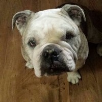 Profile Picture of Adrian Janosik (@adrian-janosik) on Quora