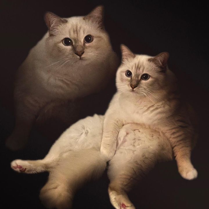 Profile Picture of Sean Harbison (@seanharbison2) on Tiktok