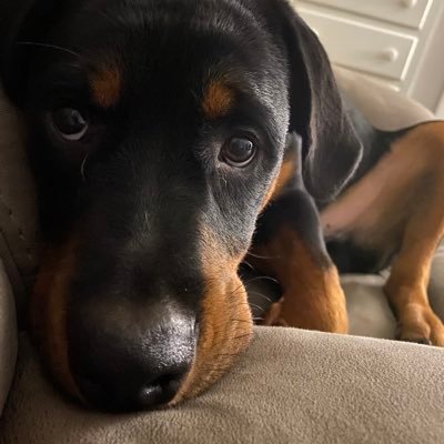 Profile Picture of Benjamin Quarles (@BenjaminQuarle4) on Twitter