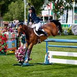 Profile Picture of Andy Kocher Show Jumpers (@andykochershowjumpers) on Instagram