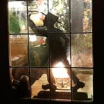 Profile Picture of claude ledoux (@ledouxclaude1) on Instagram