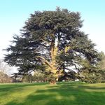 Profile Picture of Isabelle Cotto (@isabelle._cotto_creation) on Instagram