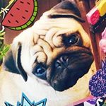 Profile Picture of Claire Picard (@picardalice) on Instagram