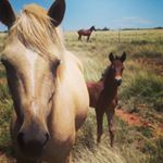 Kevin Gallego Olivarria - Instagram Profile Picture of Kevin Gallego Olivarria (@kevin_jesus_gallego) on Instagram