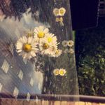 Profile Picture of Leah Bickers-gregory (@leah.photography.xo) on Instagram