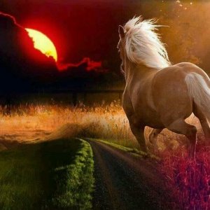 Sandy Rasmussen - Twitter Profile Picture of Sandy Rasmussen (@Rasmussen2632) on Twitter