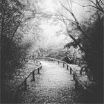 Profile Picture of caitlin booker (@caitlynn_485) on Instagram