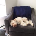 Profile Picture of Meg Blake (@megnlola) on Instagram