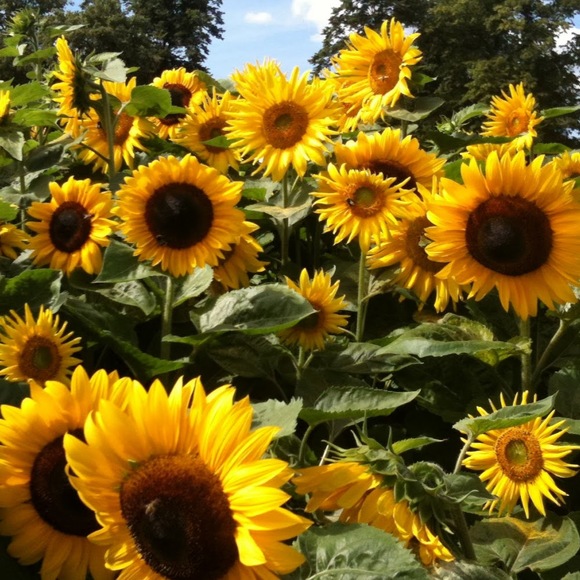 Profile Picture of Kim Oof (@yeehawyeet) on Poshmark