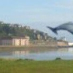 Profile Picture of Martin Finn (@mtif) on Instagram