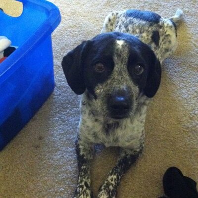 Profile Picture of Max Jorgensen (@MaxJorgensen) on Twitter