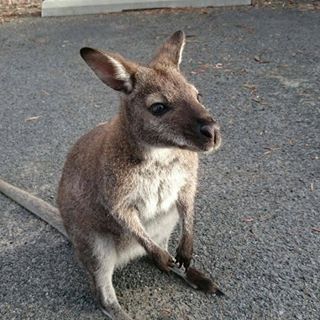 Profile Picture of Pascal Wirz (@pascal.wirz.39) on Facebook