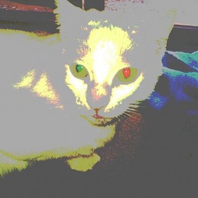 Profile Picture of Miranda Mcdaniel (@MirandaSlego4) on Twitter