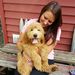 Profile Picture of Kristina Roach (@kroachie) on Pinterest