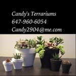 Profile Picture of Candy Alexander (@candysterrariums) on Instagram