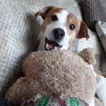 Profile Picture of charlee james langley (@charleejameslangl) on Instagram