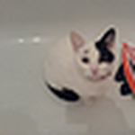 Profile Picture of andy meredith (@gandyandyy) on Flickr