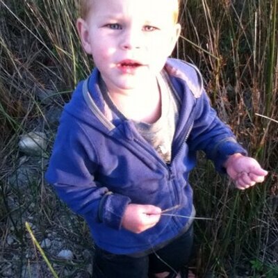 Profile Picture of Ross Kaiser (@rosskaiser) on Twitter