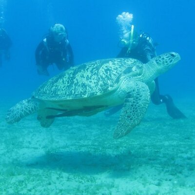 Profile Picture of POLLY PATRICK (@polly_patrick) on Twitter