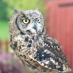 Profile Picture of Michaela Dowsett (@dowsettmichaela) on Instagram