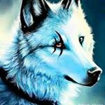 Profile Picture of danny (@dannyshrout24033) on Instagram