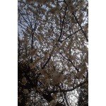 Profile Picture of Finchley (@tvttyrone) on Instagram