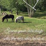 Profile Picture of Miriam (@horse.club.riding.free) on Instagram