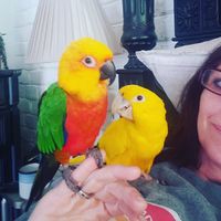 Profile Picture of Lisa Borchardt (@lisa-borchardt-7) on Quora