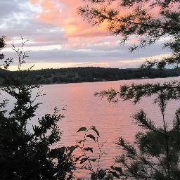 Profile Picture of Ann Haddock (@ahaddock19) on Twitter