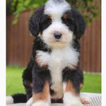 Profile Picture of Kim Craig (@kc_cali_girl_77) on Instagram