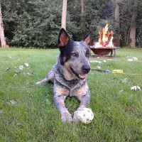 Profile Picture of Adam Daley (@adam-daley-8) on Quora