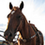 Profile Picture of Joann Bradley (@jobas1124) on Flickr